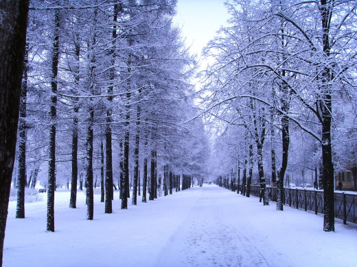 41535 (a): :1600x1200